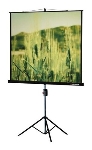 Экран на треноге Lumien 220x165 см Master View LMV-100113 4:3 напольный рулонный