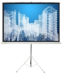 Экран Cactus 104.4x186см Triscreen CS-PST-104x186 1:1 напольный рулонный белый