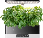 Гидропонная установка Cactus Garden 3л 24Вт черный (CS-LEDPOT-06)
