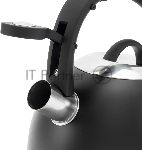Чайник для плиты металлический Rondell Walzer RDS-1827 2.7 л. черный, вид 6