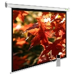 Экран Cactus 150x200см SIlverMotoExpert CS-PSSME-200X150-WT 4:3 настенно-потолочный рулонный белый (моторизованный привод)