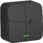 Выключатель 2-кл. ОП Blanca 10А IP20 (сх. 5) 250 В с подсветкой с изолир. пластиной антрацит SchE BLNVA105116