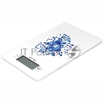 Фото временно отсутствует