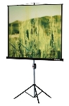 Экран на треноге Lumien 153x153см Master View LMV-100102 1:1 напольный рулонный