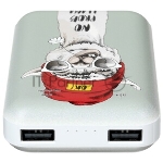 Портативный аккумулятор RITMIX RPB-10007 Lama