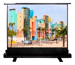 Экран Cactus 120x160 см FloorExpert CS-PSFLE-160X120 4:3 напольный рулонный