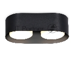 Светильник накладной TN70821/2 BK черный GX53/2 max 12W 200*100*60