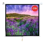Экран 180x180см Wallscreen 1:1 настенно-потолочный рулонный белый100'
