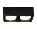 Светильник накладной TN70829/2 BK черный GX53/2 max 12W 200*100*60