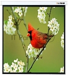 Экраны LUMIEN LUMIEN Master Picture LMP-100129 220*220 1:1, черная кайма по периметру