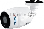 Видеокамера IP Trassir TR-D2121IR3W 3.6-3.6мм цветная
