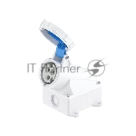 Розетка наружная DKC DIS5181653T 16А 230В 2P+E IP67