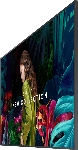 Панель Samsung QB75C черный VA, 75", 3840x2160, 350 кд/м², Tizen 7.0, 8 мс, 4000 :1, 16/7, 178/178, вид 9