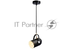 Светильник Ambrella light TR8206 BK черный E27 max 40W D117*1035