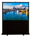 Экран Cactus 120x160 см FloorCompactExpert CS-PSFLCE-160X120 4:3 напольный рулонный