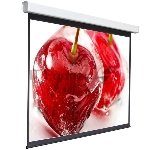 Экран 240x240см Digis Electra-F DSEF-1108 1:1 настенно-потолочный рулонный (моторизованный привод)