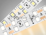Светодиодная лента Ambrella light GS3601 2835 204Led/ 20W m/ 24V IP20 3000K/ 5000*14*1.2mm (2 конт.)