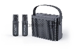 Переносная караоке система TRS2404 iconBIT K802B Колонка 10Вт, 2 микрофона Bluetooth, аккумулятор в колонке 3000mAh и микрофонах, 22.3*9.6*15.7CM/16*10*20.2CM, черный