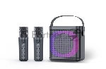 Переносная караоке система TRS2406 iconBIT K702B Колонка 10Вт, 2 микрофона Bluetooth, подсвктка, с аккумулятор в колонке 1500mAh и микрофонах, 16*12*16.7 CM, черный