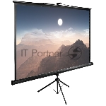 Экран Cactus 180x180см TriExpert CS-PSTE-180x180-BK 1:1 напольный рулонный