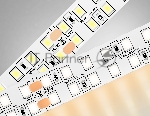 Светодиодная лента Ambrella light GS3701 2835 240Led /24W m/ 24V IP20 3000K/ 5000*14*1.2mm (2 конт.)