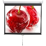 Экран 180x240см Digis Optimal-D DSOD-4304 1:1 настенно-потолочный рулонный
