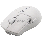 Мышь беспроводная Raskat M007WB белый, 2400 dpi, радиоканал, Bluetooth, USB, кнопки - 6
