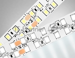 Светодиодная лента Ambrella light GS3702 2835 240Led /24W m/ 24V IP20 4500K/ 5000*14*1.2mm (2 конт.)