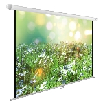 Экран Cactus 200x200 см WallExpert CS-PSWE-200x200-WT 1:1 настенно-потолочный рулонный