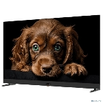 Телевизор TopDevice 55" TDTV55DQ08U черный VA-QLED UHD 60Hz Smart TV 2GB/16GB, вид 8