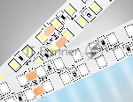 Светодиодная лента Ambrella light GS3703 2835 240Led /24W m/ 24V IP20 6500K/ 5000*14*1.2mm (2 конт.)