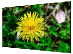 Экран LCD Hikvision DS-D2055LE-G 55", 1920x1080, 500 кд/м2, 1400 :1, 60 Гц, 8 мс, 178°