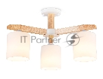 Светильник Ambrella light TR83112/3 WH/LW белый/светлое дерево E27/3 max 40W D580*320