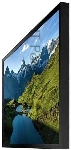 Панель Samsung 55" OH55A-S черный LED FHD 75Hz Tizen OS, вид 9