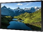 Панель Samsung 55" OH55A-S черный LED FHD 75Hz Tizen OS, вид 8