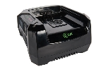 Зарядное устройство Greenworks 291470782В