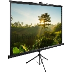 Экран Cactus 200x200 см TriExpert CS-PSTE-200х200-BK 1:1 напольный рулонный