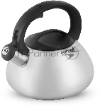 Чайник металлический Rondell Krafter RDS-1607 3 л, стальной