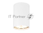 Светильник Ambrella light TN213101 WH белый GU5.3 D55*80
