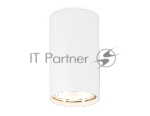 Светильник Ambrella light TN213108 WH белый GU5.3 D55*100
