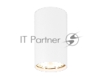 Светильник Ambrella light TN213133 WH белый GU10 D60*90