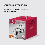 Набор посуды Flamme 4 предм.,кастрюли c/кр 20/24 см,нерж.сталь, RDS-339, вид 27