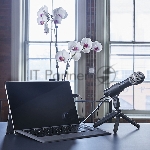Микрофон проводной Audio-Technica ATR2100x 2м черный