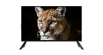 Телевизор TopDevice 24" TDWC24BH1000I черный DLED HD 60Hz