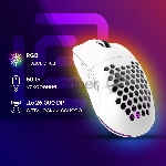 Мышь беспроводная Oklick 900GMW белый, 26000 dpi, радиоканал, Bluetooth, USB, кнопки - 6, вид 21