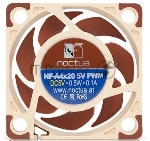 Вентилятор корпусной Noctua NF-A4x20 5V PWM, 20 мм, 1100-5000 об/мин, 14.9 дБ, 4-pin PWM, без подсветки