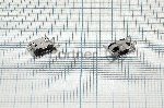 Разъем Micro USB для Micromax A69 A28 A61 A091 A94 A114R A118R