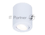 Светильник Ambrella light TN225 WH белый GU5.3 D80*100