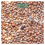 Персональные весы Sencor