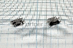 Разъем Micro USB для Micromax A36 A79 S300 S302 Q324 Q341 Q424 Q4251